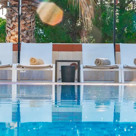 Sibyl Erythrai By Muup