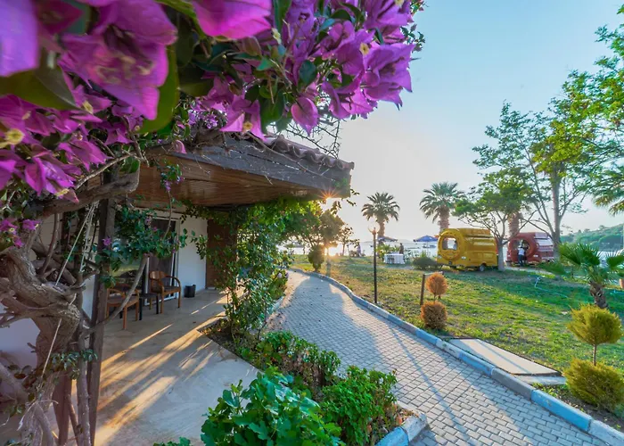 Sibyl Erythrai By Muup Çeşme