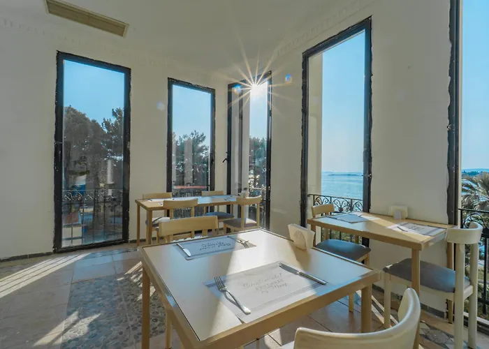 Sibyl Erythrai By Muup *